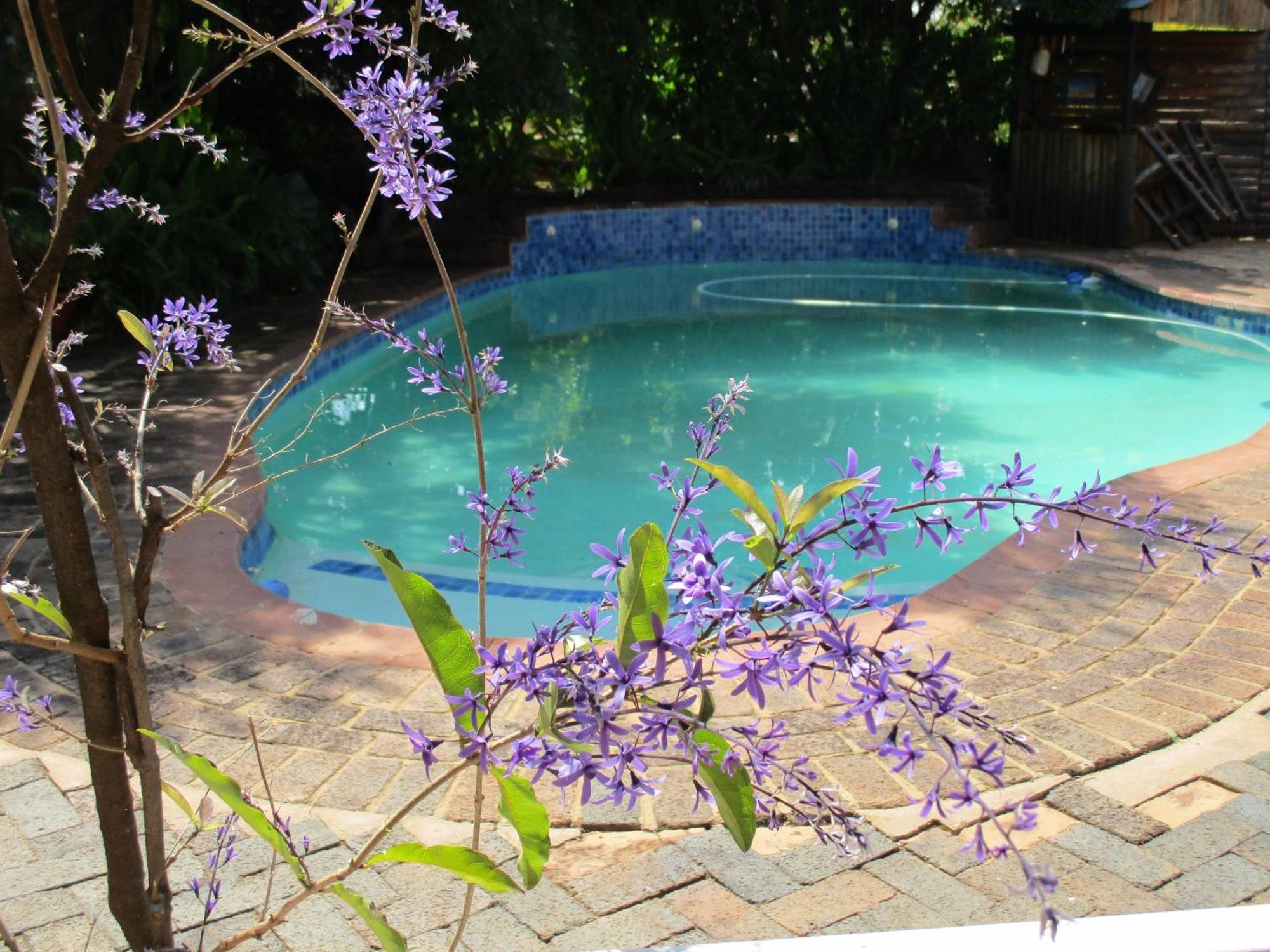 Ukarimu Guest House Klerksdorp Zewnętrze zdjęcie